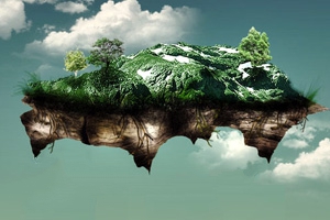 茶树起源中心之谜