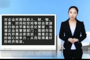 ERP实施顾问