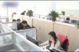 网络编辑 