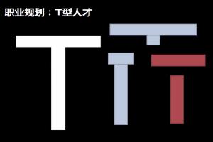 T型人才的职业规划