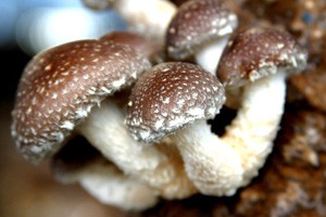 妈妈逼我放弃2000万