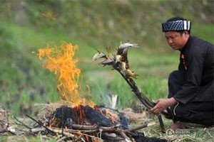 大山深处的瓜年