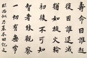 向彬临摹“二王”八帖游目帖