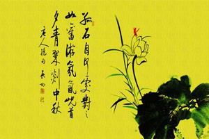 学习隶书《张迁碑》（二）