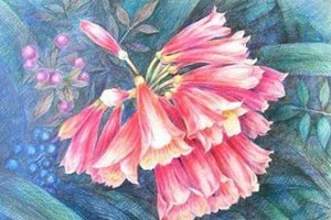 彩铅拟人小动物彩色铅笔的表现技法（下）