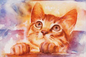 水彩小猫的画法（三）