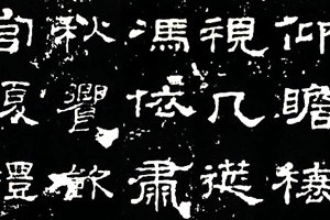 学习隶书《礼器碑》（一）