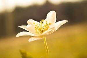 沈煜伦：爱是一种微妙的滋养（下）