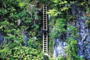 悬崖上的二十五年（上）