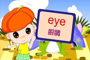 第四课  我的身体