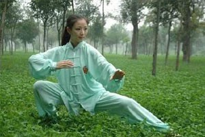 太极双环第一组动作讲解及演示