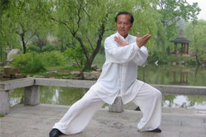 太极双环第二组动作讲解及演示