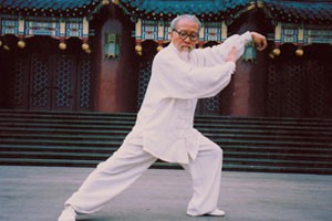 太极双环第四组动作讲解及演示