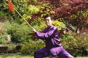 通背门白猿棍五路六路教学