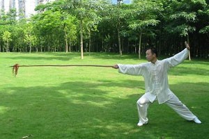 通背门白猿棍七路八路教学