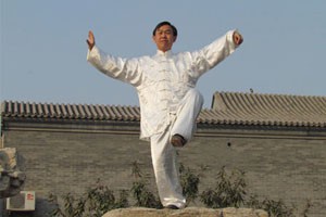 吴氏太极十三刀第二组分解教学