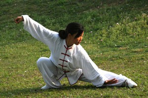 吴氏太极十三刀第三组分解教学