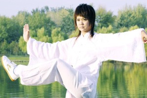 组合24式太极拳第三段（12-17）