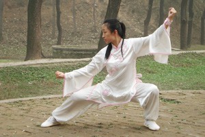 组合24式太极拳第四段（18-24）