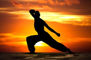 飞龙八卦掌第六掌顺形掌 第七掌双换掌 第八掌龙形掌