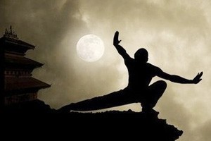 龙形八卦掌第一掌乾掌 第二掌坎掌