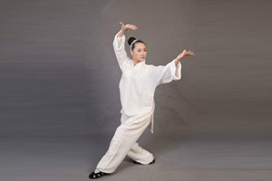 龙形八卦掌第五掌巽掌 第六掌离掌