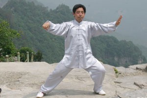 二十四式华武太极杆（下）