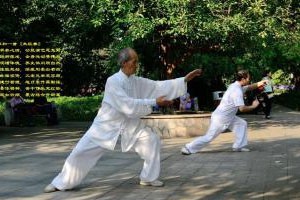 三十八式太极佛尘（下）