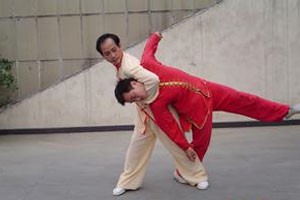 散手道后踢类腿法应用