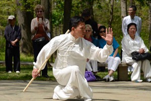 太极短棍四十六式（中）