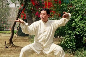轮椅上的太极—养生十八式太极拳（三）