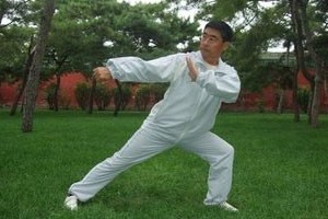 太极螳螂拳擒拿术（下）