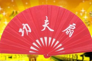 夕阳美太极功夫扇第一段