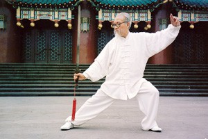 《太极花样组合之五》内容简介和集体整套演练