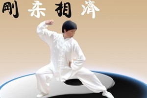 《太极花样组合之五》乙组 扇 共36动