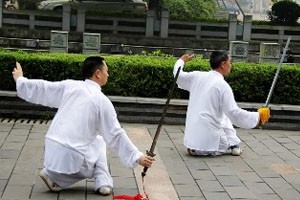 太极拳 太极剑规范教程武术扇（二）