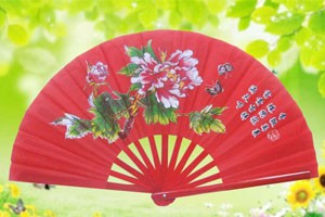 太极拳 太极剑规范教程武术扇（三）