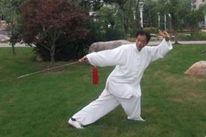 太极拳 太极剑规范教程武术扇（四）