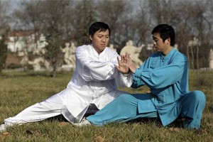 太极名师系列太极推手（一）