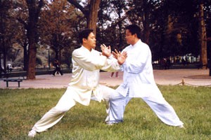 太极名师系列太极推手（二）