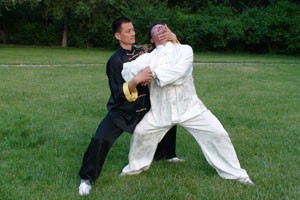 太极名师系列太极推手（三）