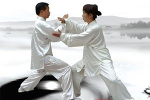 太极名师系列太极推手（五）