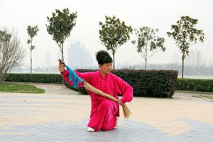 太极拂尘（四）