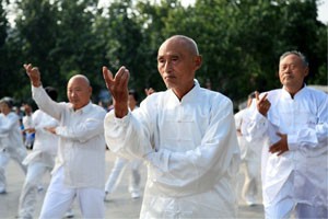 陈氏太极拳（二）