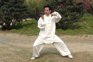 吴氏45式太极拳（三）