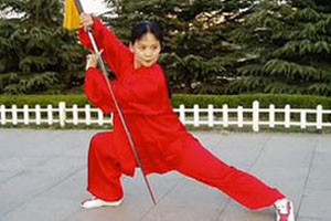 九式太极剑第一套（中）