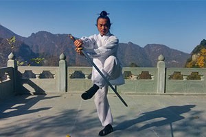 九式太极剑第三套（下）