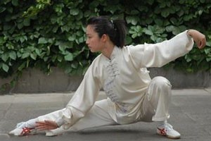 九式太极拳第一套（上）