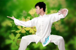 九式太极拳第二套（下）