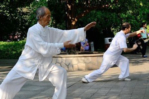 九式太极拳第三套（下）